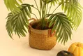 Custom Straw Fruit Basket Wholesale - BasketGem 6