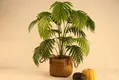 Custom Straw Fruit Basket Wholesale - BasketGem 5