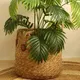 Wholesale Straw Plant Pot by BasketGem-1 8