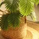 Wholesale Straw Plant Pot by BasketGem-1 7