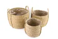 Straw Plant Pot by BasketGem 8