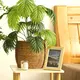 Straw Plant Pot by BasketGem 6