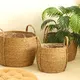 Straw Plant Pot by BasketGem 2