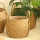 Straw Plant Pot by BasketGem 3