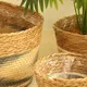 Straw Plant Pot Supplier by BasketGem-1 3