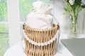 Willow Coach Bag - - BasketGem 4