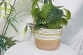 Straw Weaving Supplies by BasketGem 3