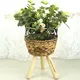 Straw Basket Plant Pot by BasketGem 2
