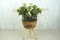 Straw Basket Plant Pot by BasketGem 3