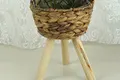 Straw Basket Plant Pot by BasketGem 5