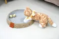 Cotton Cat Bed Products Wholesale - BasketGem 5