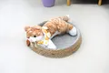Cotton Cat Bed Products Wholesale - BasketGem 4
