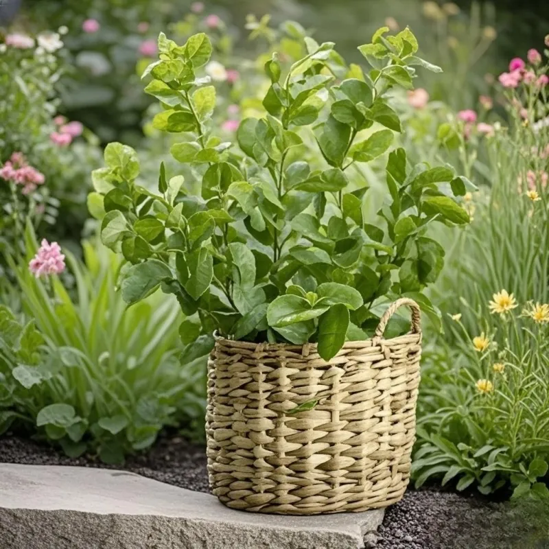 Straw Flower Pot Products Wholesale - BasketGem 3