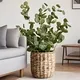 Straw Flower Pot Products Wholesale - BasketGem 2
