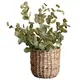 Straw Flower Pot Products Wholesale - BasketGem 4