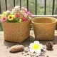 Straw Plant Pot Straw Weaving Wholesale - BasketGem-1 2