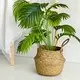 Custom Straw Plant Pot by BasketGem 5