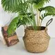 Custom Straw Plant Pot by BasketGem 4