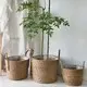 Straw Plant Pot Manufacturer - - BasketGem 4