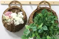 Wholesale Willow Weaving Supplies by BasketGem-1 2