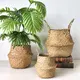 Custom Straw Plant Pot by BasketGem 2