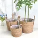 Straw Plant Pot Manufacturer - - BasketGem 2