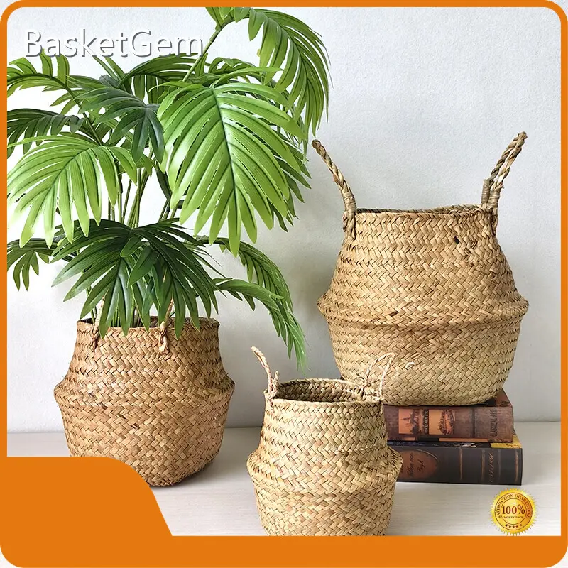 Wholesale Straw Plant Pot - - BasketGem 1