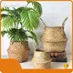 Wholesale Straw Plant Pot - - BasketGem 1