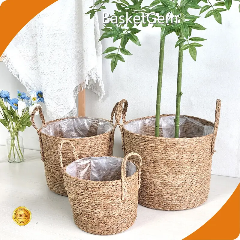 Straw Plant Pot Manufacturer - - BasketGem 1