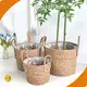 Straw Plant Pot Manufacturer - - BasketGem 1