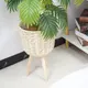 Custom Straw Plant Pot by BasketGem-2 5