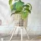 Wholesale Woven Wood Baskets - - BasketGem 3