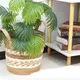Wholesale Straw Plant Pot by BasketGem 3