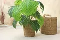 Custom Straw Weaving - - BasketGem 4