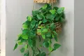 Straw Weaving Supplies by BasketGem-1 2