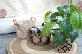 Straw Plant Pot - - BasketGem 3