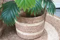 Straw Basket Plant Pot - - BasketGem 3