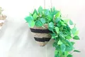Straw Plant Pots Straw Plant Pot Wholesale - BasketGem 4