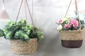 Straw Basket Plant Pot Straw Plant Pot Wholesale - BasketGem 5