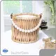 Willow Coach Bag - - BasketGem 1