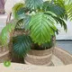 Straw Basket Plant Pot - - BasketGem 1