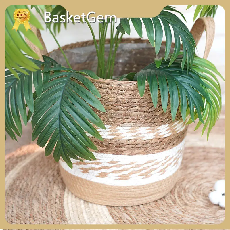 Wholesale Straw Plant Pot by BasketGem 1