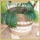 Wholesale Straw Plant Pot by BasketGem 1