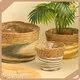 Straw Plant Pot Supplier by BasketGem 1