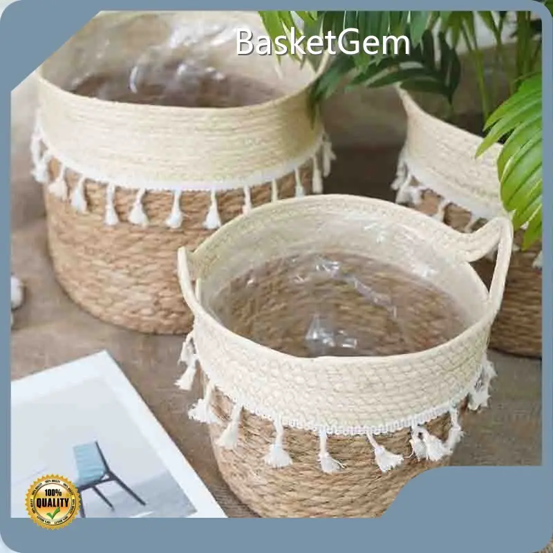 Custom Straw Plant Pot by BasketGem-1 1