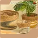 Straw Plant Pot Supplier by BasketGem-1 1