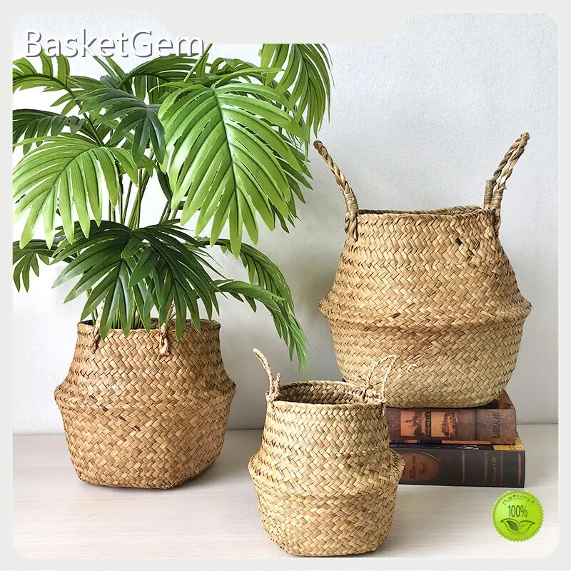 Straw Plant Pot by BasketGem-1 1