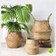 Straw Plant Pot by BasketGem-1 1