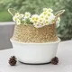 Straw Plant Pot Straw Weaving Wholesale - BasketGem-2 3