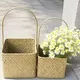 Straw Plant Pots Products Wholesale - BasketGem 3